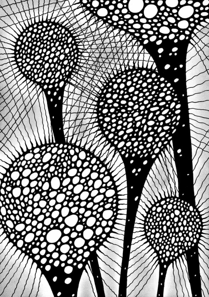 COSMIC FLOWER