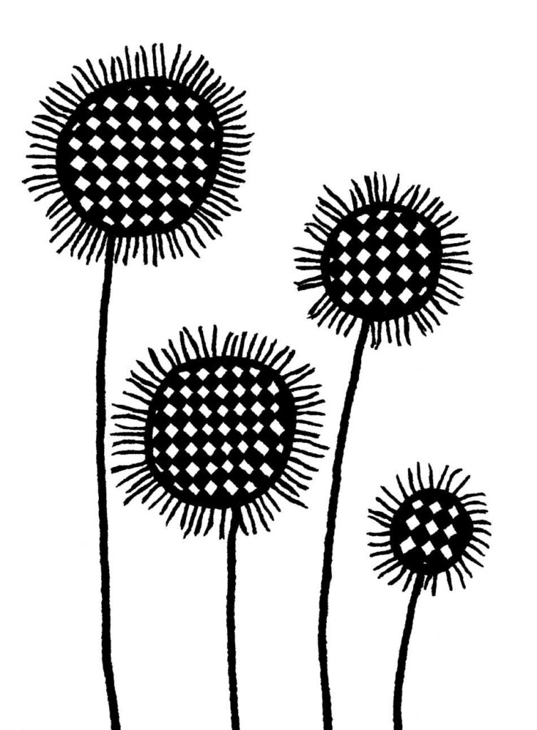FRINGY