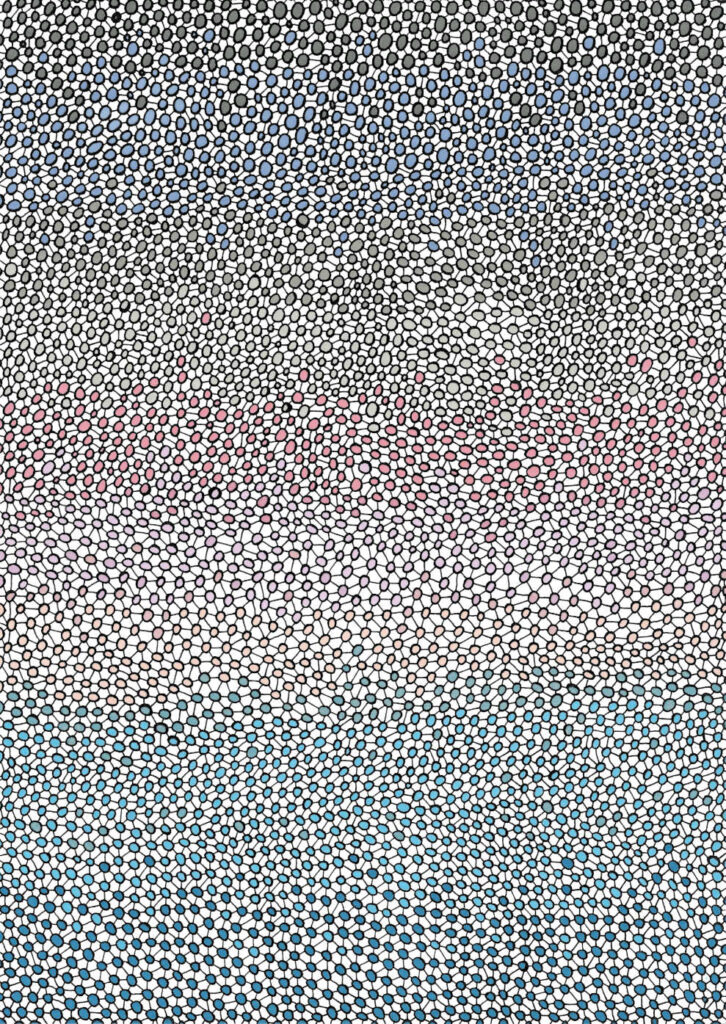 SEA AND SKY PARTICLES