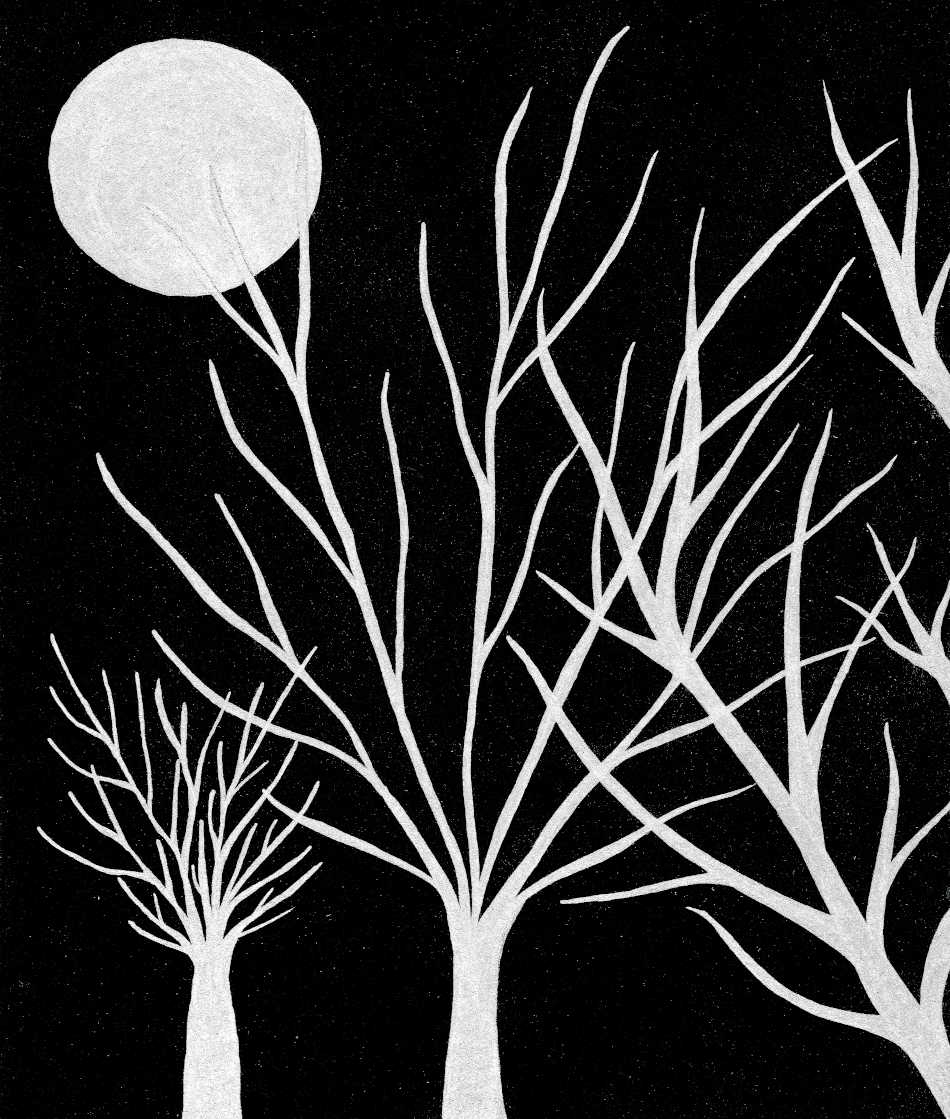 THE NIGHT